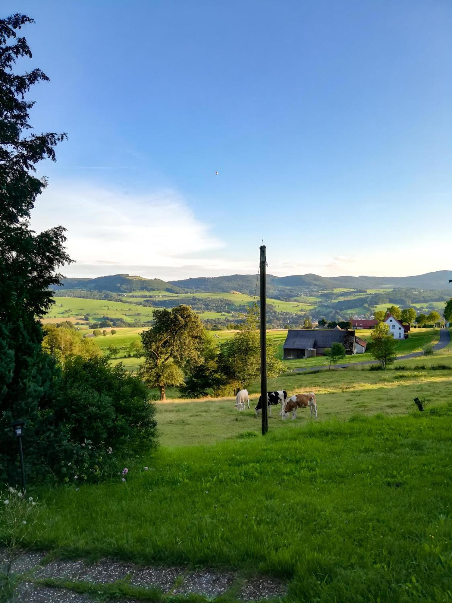 Ferienwohnung Rhoenpanorama Gersfeld Eksteriør bilde